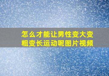 怎么才能让男性变大变粗变长运动呢图片视频