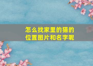 怎么找家里的猫的位置图片和名字呢