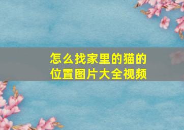 怎么找家里的猫的位置图片大全视频