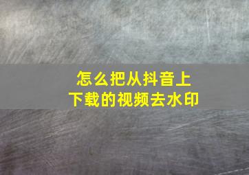 怎么把从抖音上下载的视频去水印