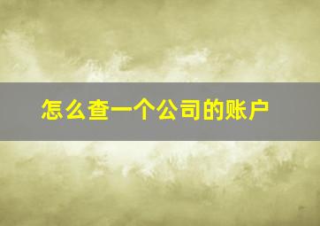 怎么查一个公司的账户