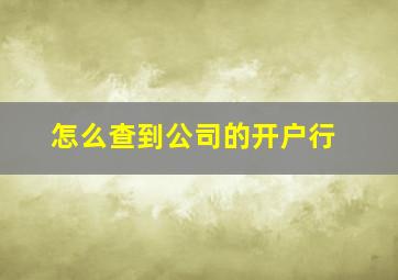 怎么查到公司的开户行