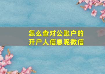 怎么查对公账户的开户人信息呢微信