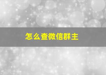 怎么查微信群主