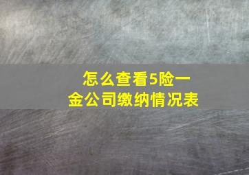 怎么查看5险一金公司缴纳情况表