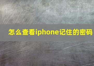 怎么查看iphone记住的密码