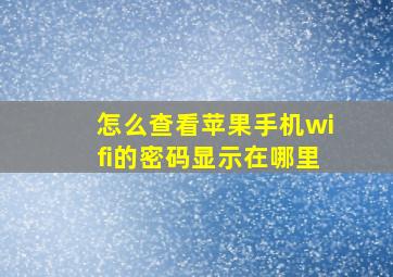 怎么查看苹果手机wifi的密码显示在哪里