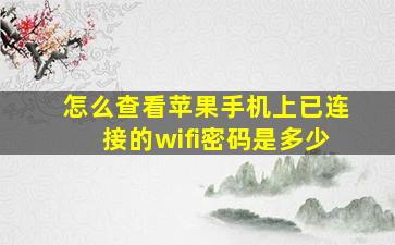 怎么查看苹果手机上已连接的wifi密码是多少