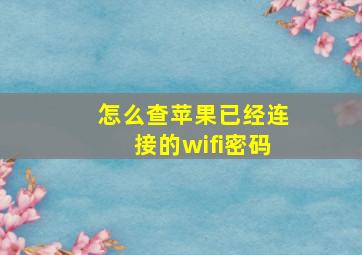 怎么查苹果已经连接的wifi密码