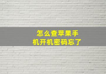 怎么查苹果手机开机密码忘了