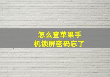 怎么查苹果手机锁屏密码忘了