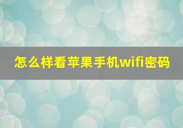 怎么样看苹果手机wifi密码