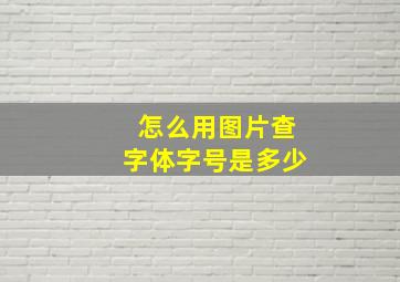 怎么用图片查字体字号是多少