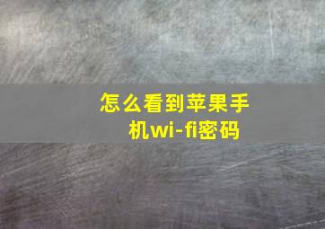 怎么看到苹果手机wi-fi密码