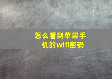 怎么看到苹果手机的wifi密码