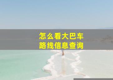 怎么看大巴车路线信息查询