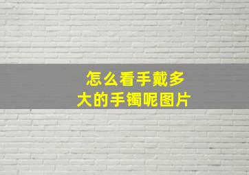 怎么看手戴多大的手镯呢图片