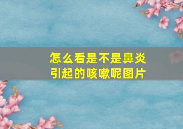 怎么看是不是鼻炎引起的咳嗽呢图片