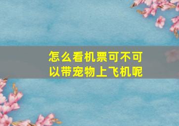 怎么看机票可不可以带宠物上飞机呢