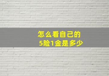 怎么看自己的5险1金是多少