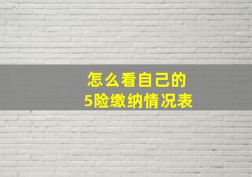 怎么看自己的5险缴纳情况表