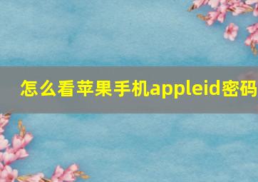 怎么看苹果手机appleid密码