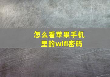 怎么看苹果手机里的wifi密码