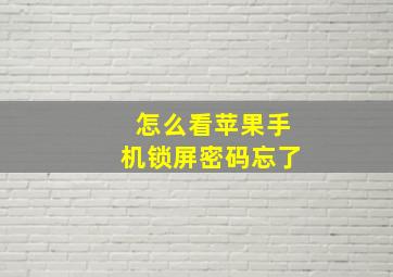 怎么看苹果手机锁屏密码忘了