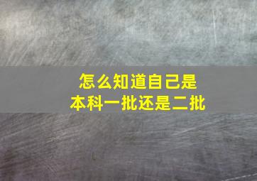 怎么知道自己是本科一批还是二批