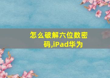 怎么破解六位数密码,iPad华为