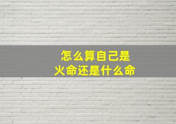 怎么算自己是火命还是什么命