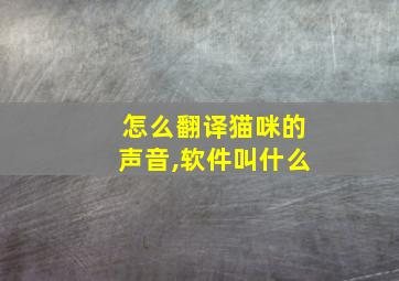 怎么翻译猫咪的声音,软件叫什么