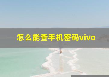 怎么能查手机密码vivo