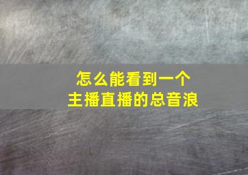 怎么能看到一个主播直播的总音浪