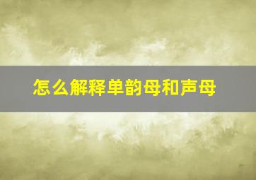 怎么解释单韵母和声母