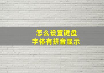 怎么设置键盘字体有拼音显示