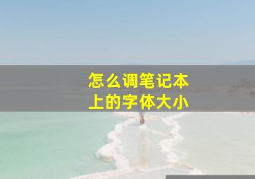 怎么调笔记本上的字体大小