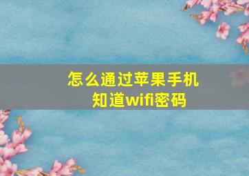 怎么通过苹果手机知道wifi密码