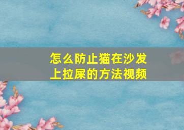 怎么防止猫在沙发上拉屎的方法视频