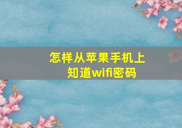 怎样从苹果手机上知道wifi密码