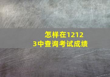 怎样在12123中查询考试成绩