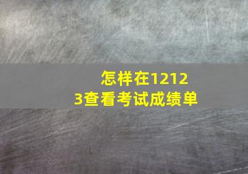 怎样在12123查看考试成绩单