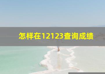 怎样在12123查询成绩