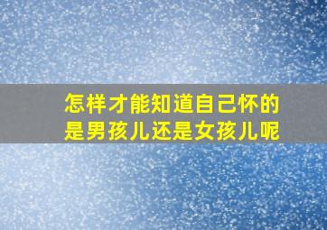 怎样才能知道自己怀的是男孩儿还是女孩儿呢