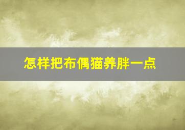 怎样把布偶猫养胖一点