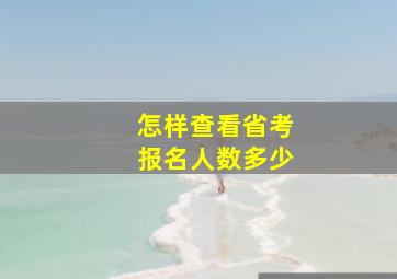 怎样查看省考报名人数多少