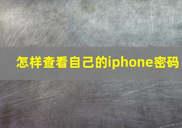 怎样查看自己的iphone密码