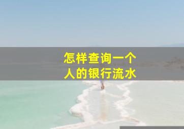 怎样查询一个人的银行流水