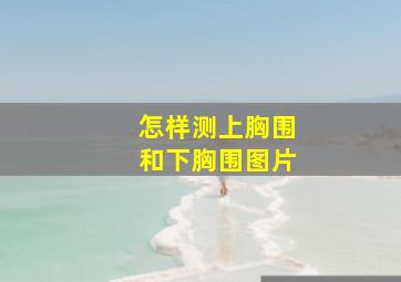 怎样测上胸围和下胸围图片