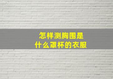 怎样测胸围是什么罩杯的衣服